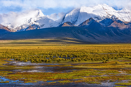 雪山下的湿地高清图片