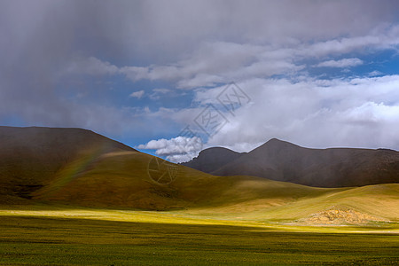 七彩山鸡草原上的彩虹背景