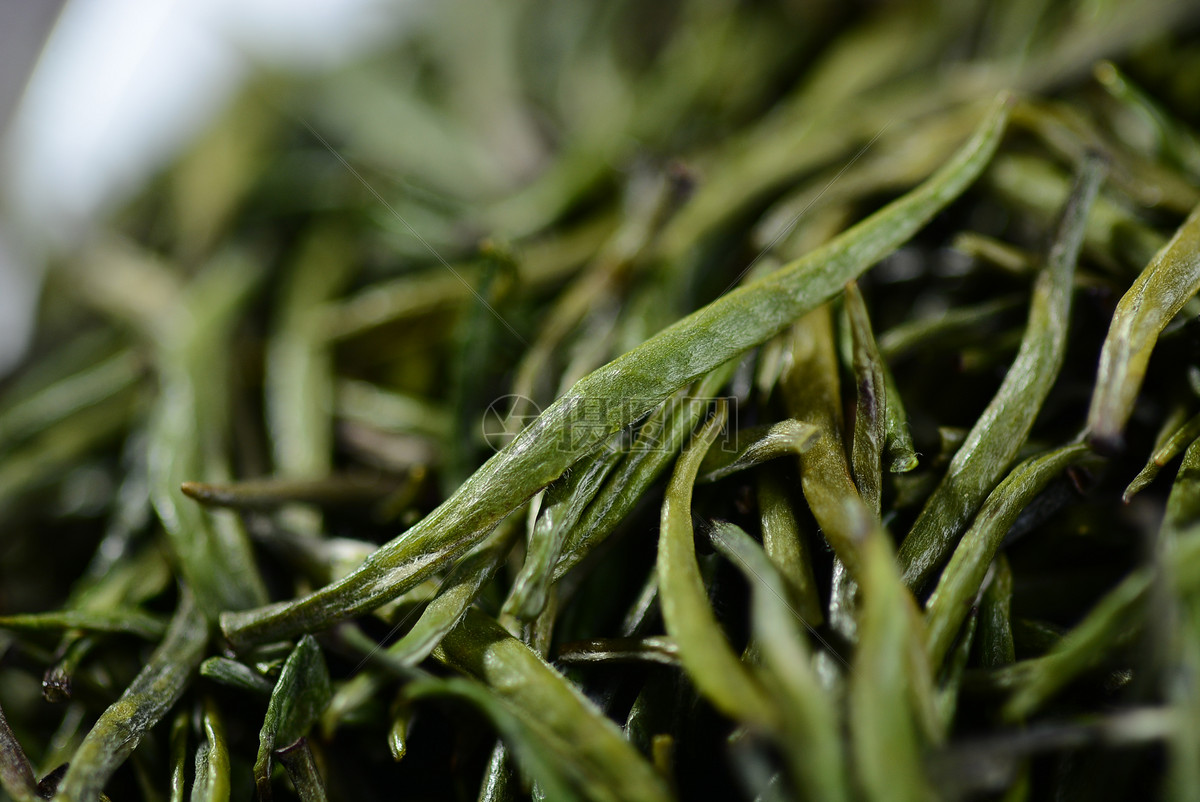 白茶茶功效和作用
