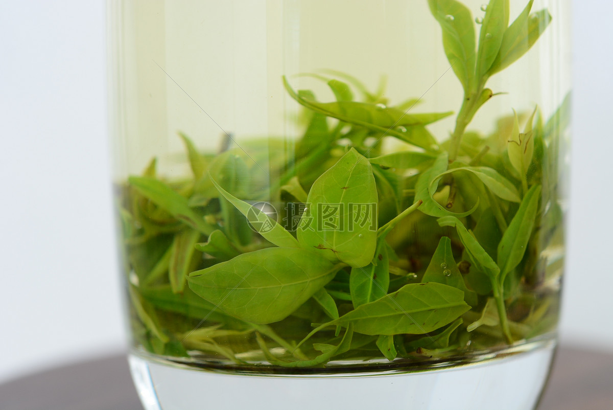 白茶牡丹王功效与作用_功