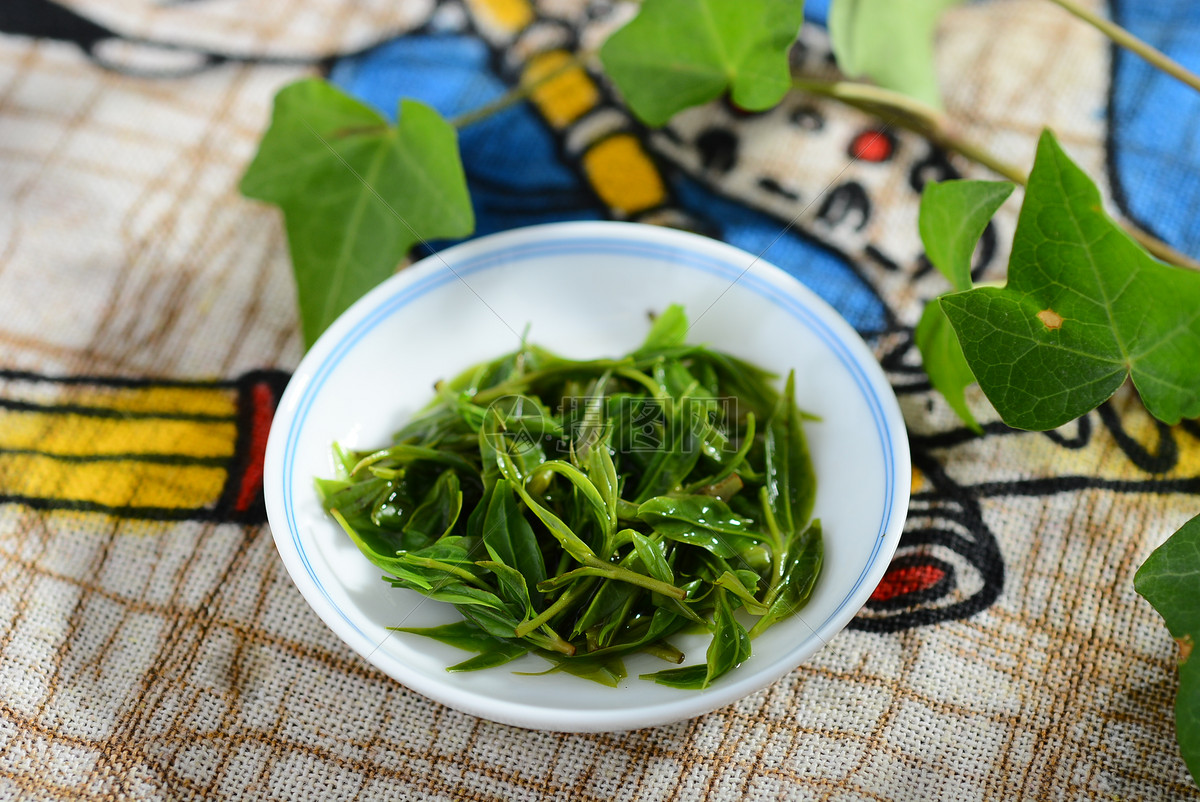 喝白茶什么功效_功效和作