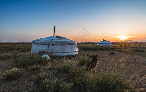 日出下的蒙古大草原与蒙古包图片