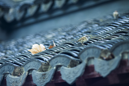 寺庙中国元素徽派建筑背景