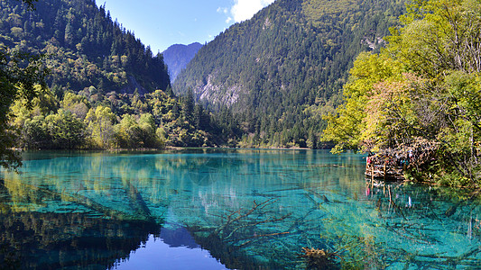 清澈溪水九寨沟五花海风景照片背景