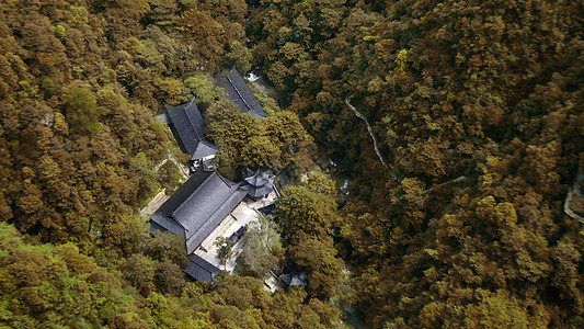 千岛湖森林氧吧浙江武义牛头山森林公园背景