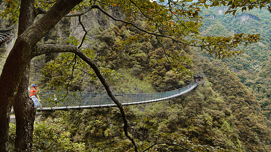 千岛湖森林氧吧浙江武义牛头山森林公园背景