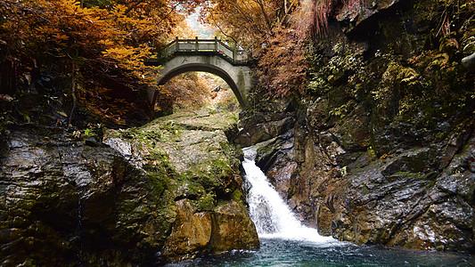 千岛湖森林氧吧浙江武义牛头山森林公园背景