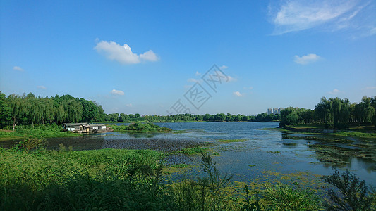 湿地公园河边小舟背景