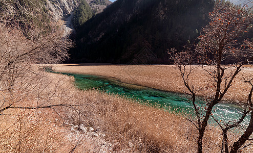 草海风光四川九寨沟草海景观背景