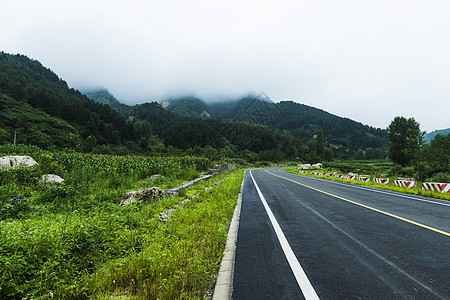 绿色公路公路背景