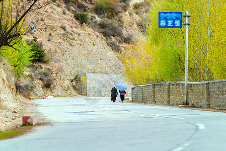 绿色雨伞西藏林芝镇公路背景