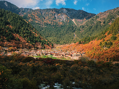 川西红叶川西秋景背景