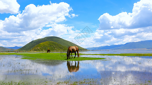 贵州美景泸沽湖蓝天白云山水倒影美景背景