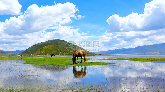 泸沽湖蓝天白云山水倒影美景图片