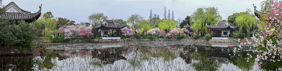 春渡蠡园自然风景高清图片