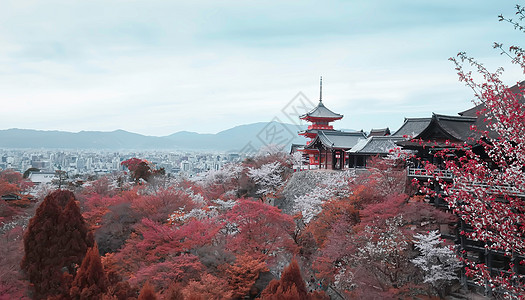 日本京都旅游景区白天高清图片