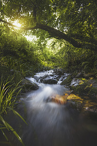 石头溪水静谧小溪背景