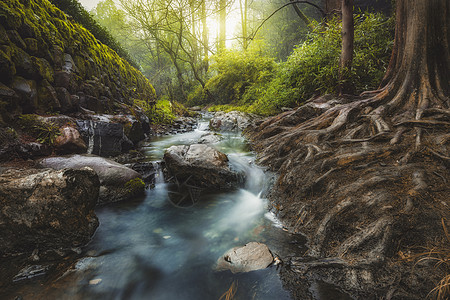 微光渐变静谧小溪背景