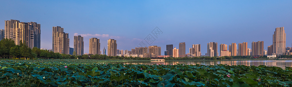 草地高楼城市建筑风光全景图背景