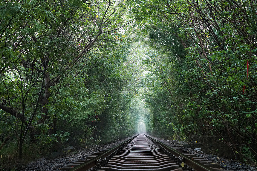南京江宁区爱情隧道唯美照片图片素材_免费下