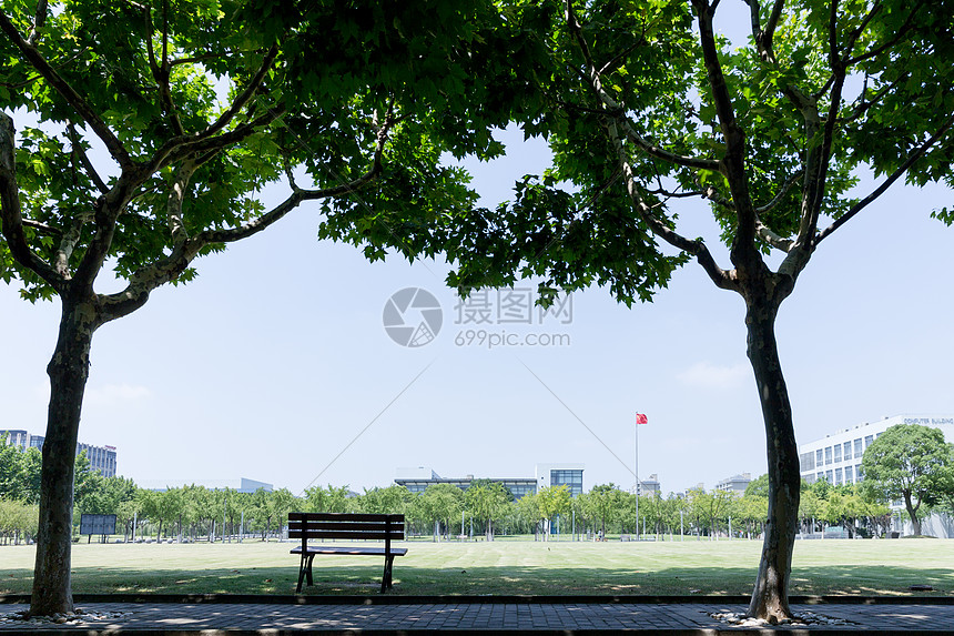 大学校园绿荫草地环境图片