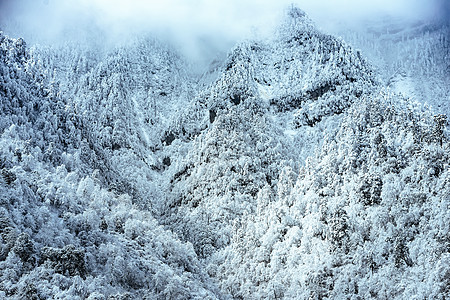 川西雪景图片