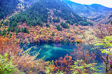 十月一九寨沟风景背景