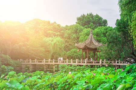 上海古漪园游客荷花亭高清图片