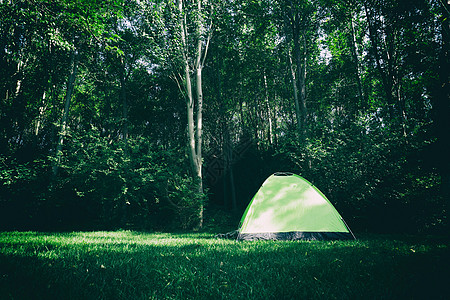 草坪树林户外野营的帐篷背景