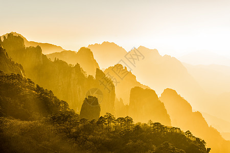 黄山奇松黄山风光背景