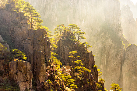 黄山怪石黄山风光背景