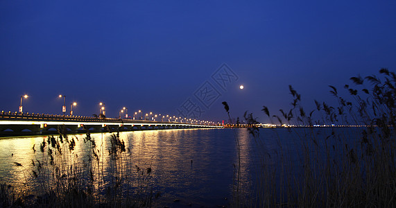 醉月桥夜景海上生明月背景