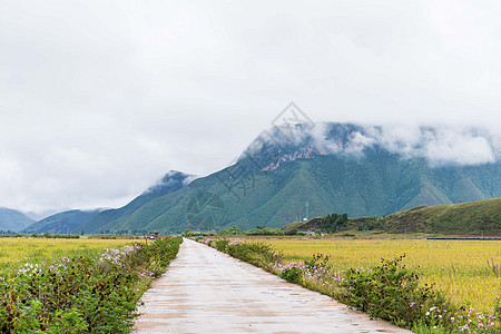 山间小路云雾缭绕背景