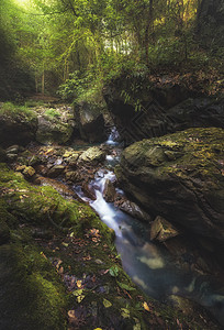 山涧溪水小溪密语背景