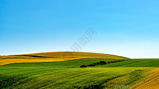 绿色小道新疆昌吉自然风光背景