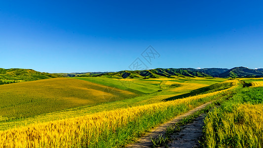 无尽夏新疆昌吉自然风光背景