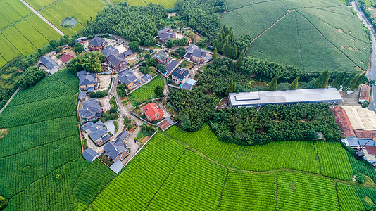 俯瞰田野航拍江南水乡背景