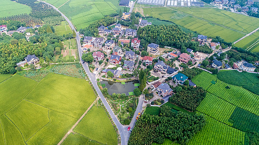 绿色道路航拍江南水乡背景