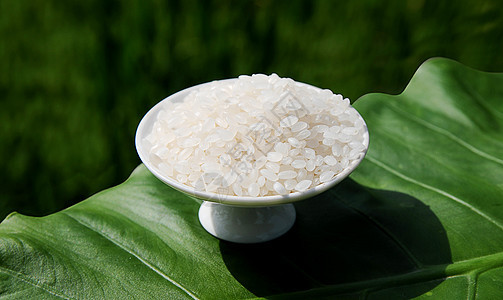 东北大米珍珠米新米五常大米图片