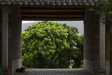 大鹏古城的邮政古城街景背景