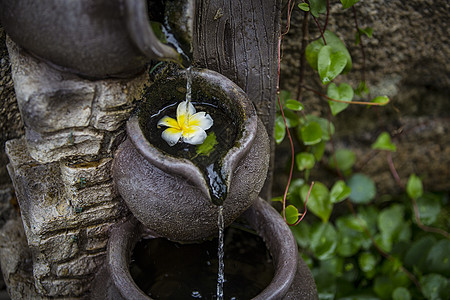 落花有情流水无情高清图片