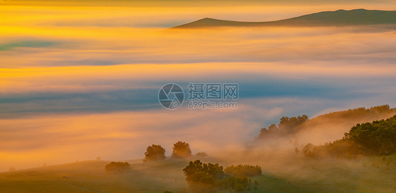 清晨的云雾图片