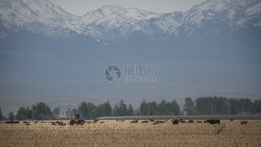 新疆风光图片摄影图片