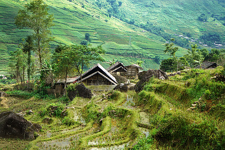 越南沙坝山地茅屋梯田图片