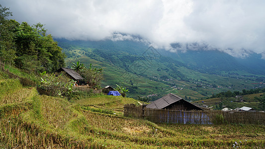 越南沙坝山地茅屋梯田图片