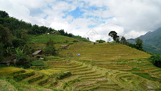 越南沙坝山地梯田图片