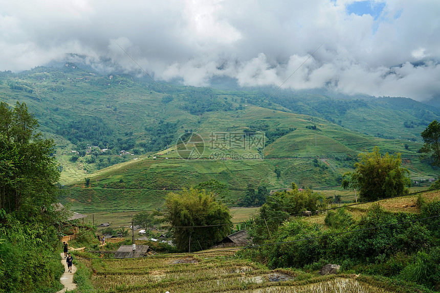 越南沙坝山地梯田图片