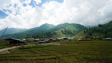 越南沙坝山地梯田图片