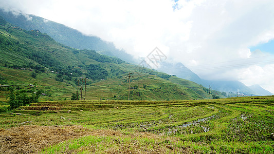 越南沙坝山地梯田图片