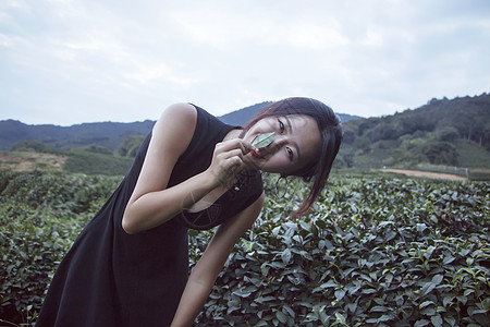 性感学生茶园中的美女背景